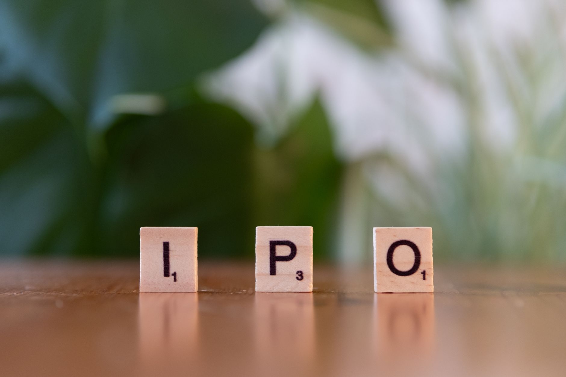 NSE IPO vs Sonaselection India IPO: Best Share Listing Insights