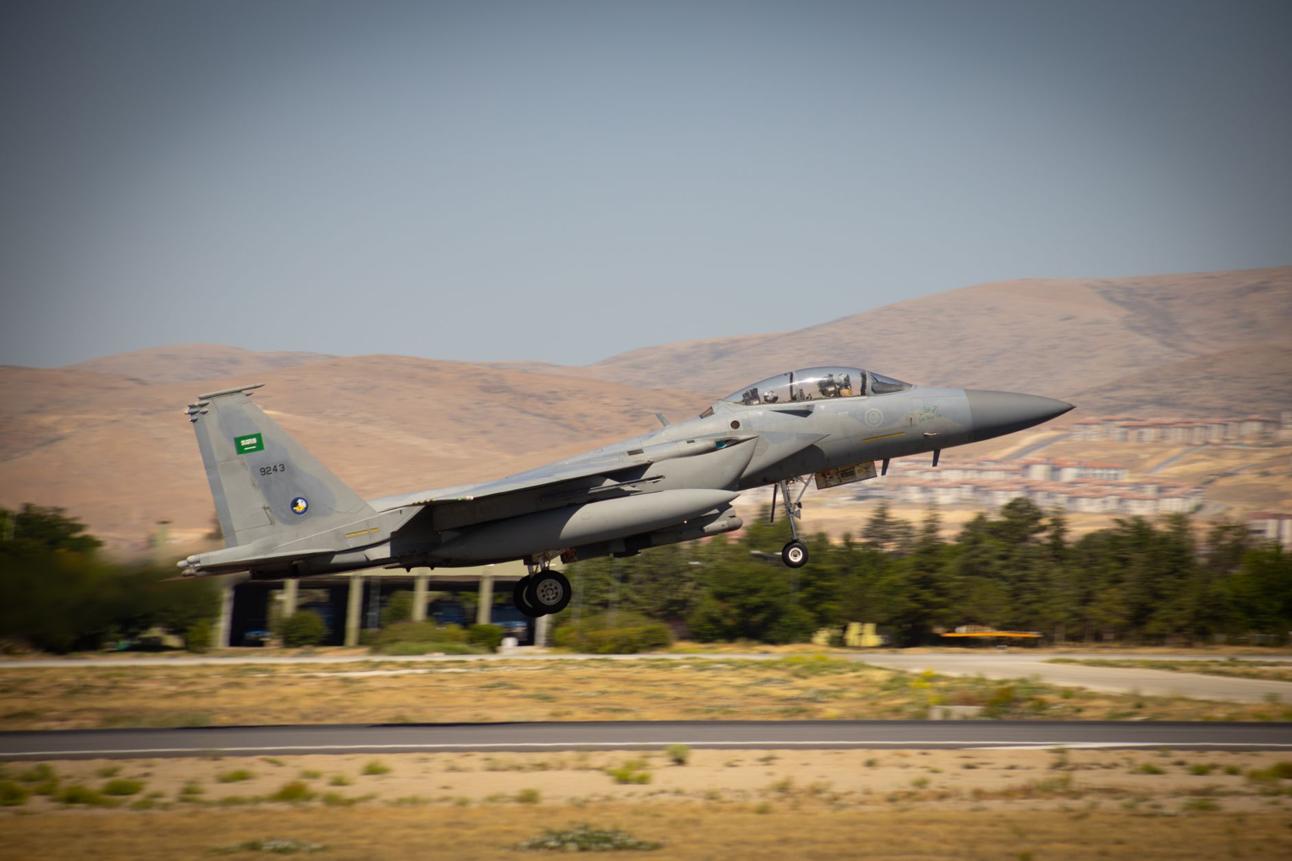 Defence assistance to Saudi Arabia: Clear implications for Sisi