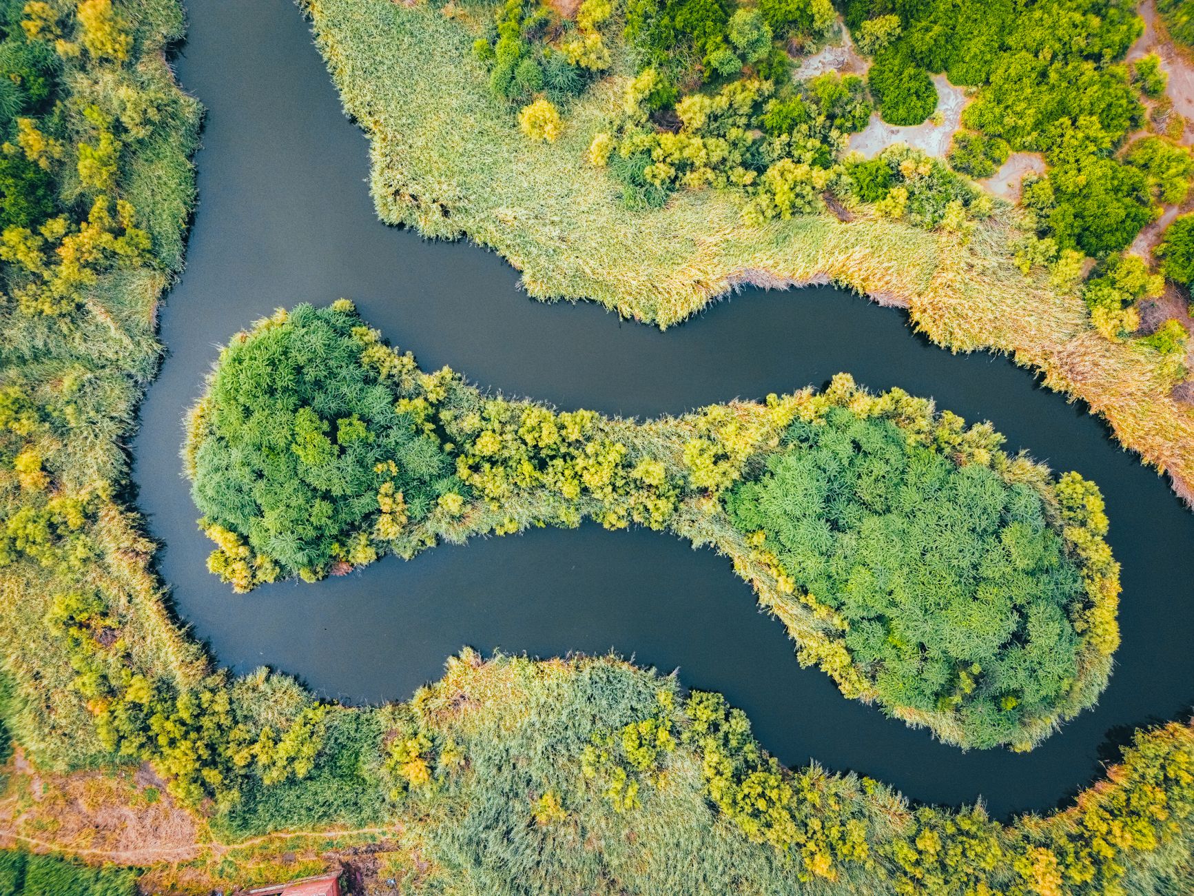 Nature Backup Plans: The Worst Discovery About Resilience